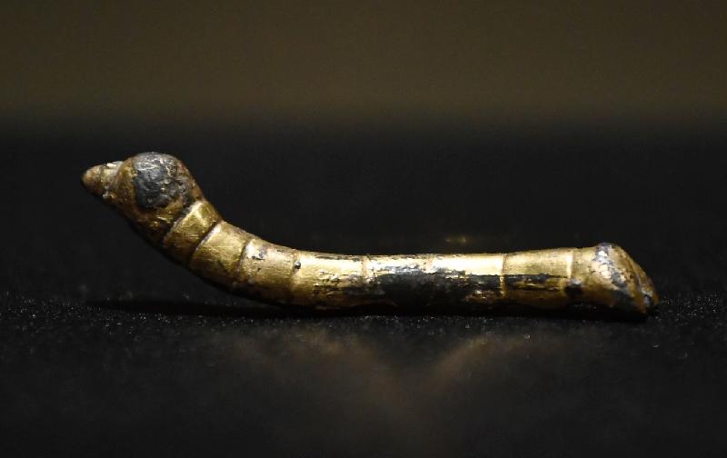 The opening ceremony of the exhibition "Miles upon Miles: World Heritage along the Silk Road" was held today (November 28) at the Hong Kong Museum of History. Photo shows the grade-one national treasure "Gilt bronze silkworm".