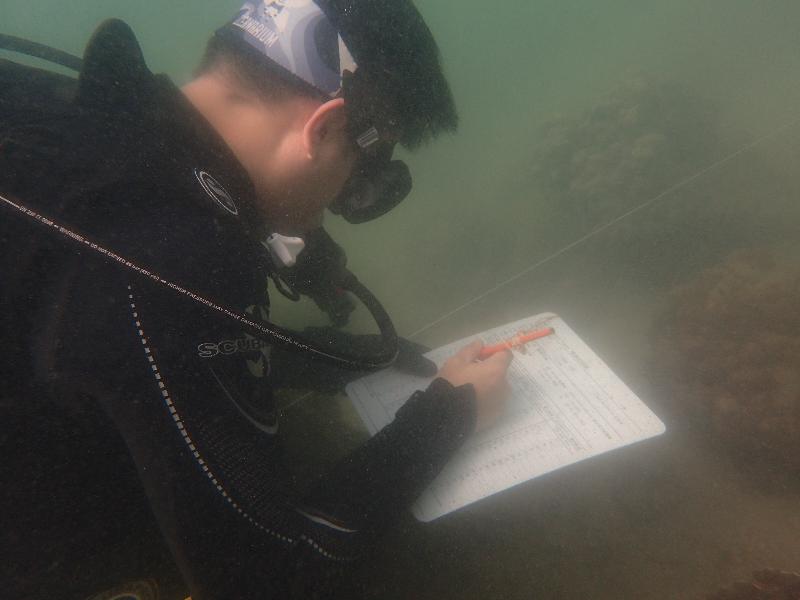 The Agriculture, Fisheries and Conservation Department announced today (December 2) that the Hong Kong Reef Check 2017 showed that local corals are generally in a healthy and stable condition and exhibit a rich diversity of fauna species. Photo shows a diver participating in the Reef Check and recording indicator species, coral coverage and the health status of the corals.