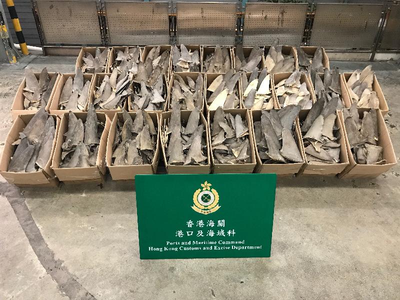 香港海关今日（十二月二十九日）在葵涌海关大楼验货场的一个货柜内检获约四百六十四公斤怀疑受管制双髻鲨乾鱼翅，估计市值约三十七万元。