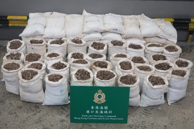Hong Kong Customs today (January 5) seized about 1 800 kilograms of suspected pangolin scales from a container with an estimated market value of about $2.8 million at the Kwai Chung Customhouse Cargo Examination Compound.