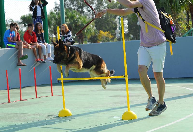 「有你宠爱」狗狗领养嘉年华本周末（一月二十日和二十一日）在荔枝角公园一期足球场举行。图示往届嘉年华的狗只游乐场。