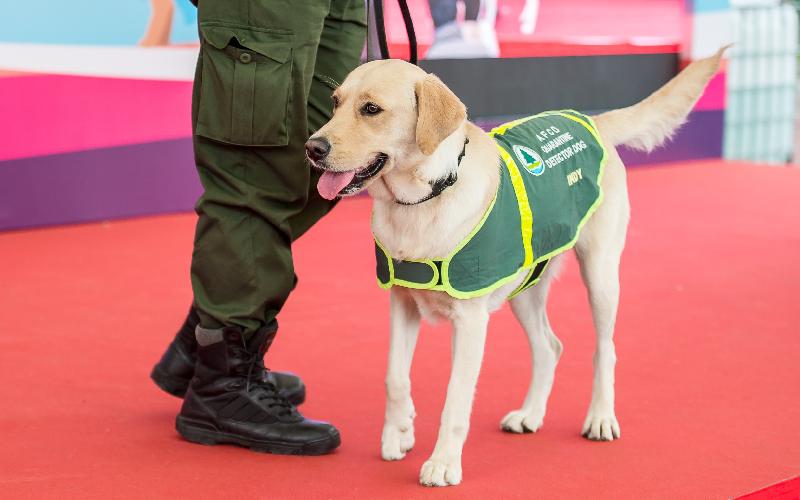 The "Pets with Love" Dog Adoption Carnival will be held at the Soccer Pitch of Lai Chi Kok Park Phase I this weekend (January 20 and 21). Photo shows a demonstration by a quarantine detector dog of the Agriculture, Fisheries and Conservation Department at the previous carnival.