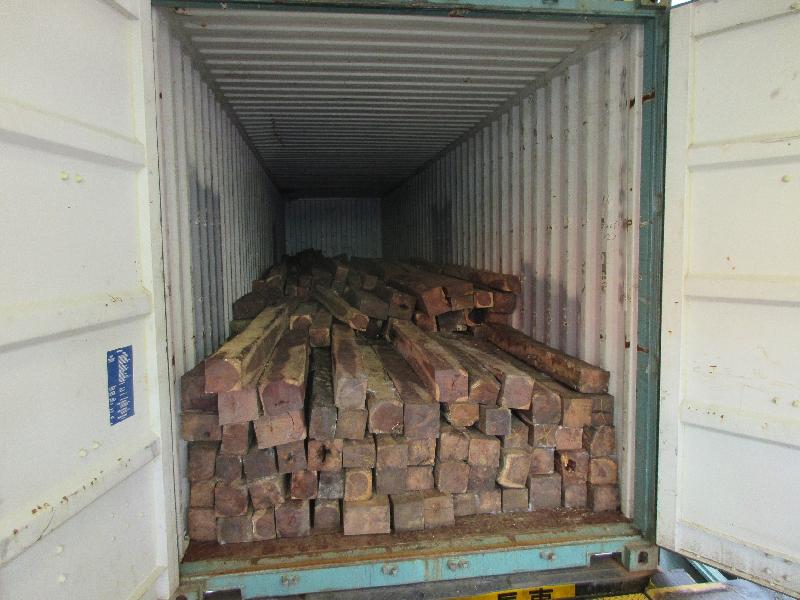 Hong Kong Customs yesterday (January 16) seized about 29 232 kilograms of suspected honduras rosewood from a container at the Kwai Chung Customhouse Cargo Examination Compound. The estimated market value of the seizure was about $2.9 million.