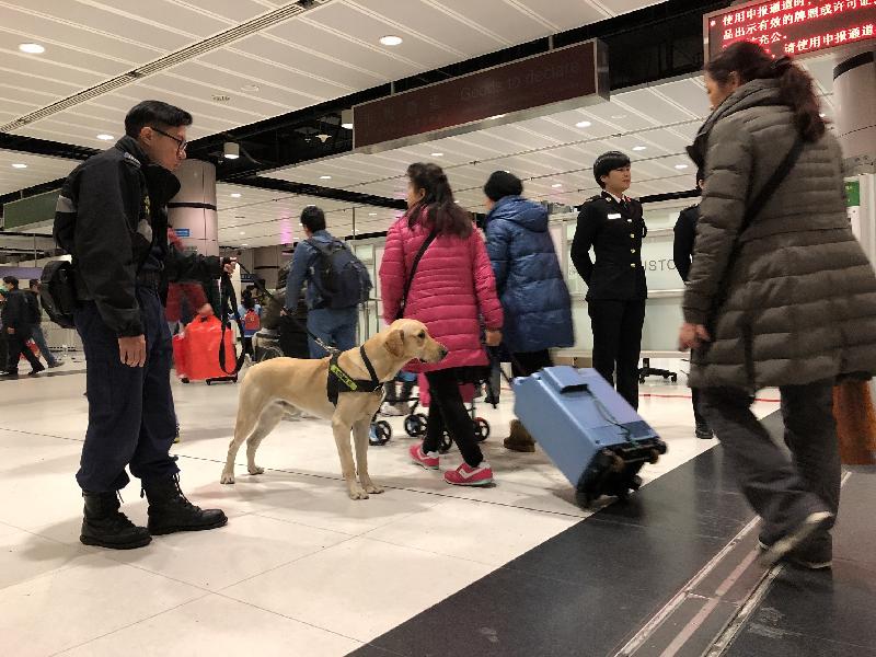 With the imminent arrival of the Lunar New Year holiday period, the Customs and Excise Department will step up anti-smuggling operations at various land boundary control points (BCPs) to prevent the bringing in or taking out of prohibited and controlled items in light of the increased cross-boundary passenger flow before and during the festive holiday. Photo shows Customs officers and a Customs detector dog carrying out duties at a BCP.
