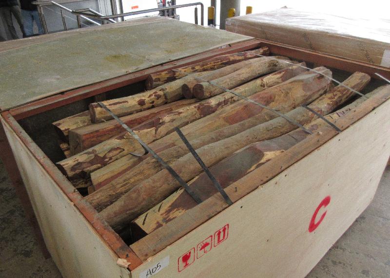 香港海关二月五日在葵涌海关大楼验货场两个货柜内检获约二万六千一百六十公斤怀疑受管制黄檀木材，估计市值约三百六十万元。