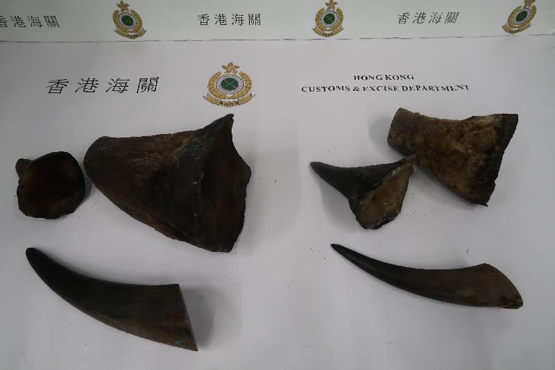 香港海关今日（二月十日）在香港国际机场检获约十二点一公斤怀疑犀牛角，估计市值约二百四十万元。