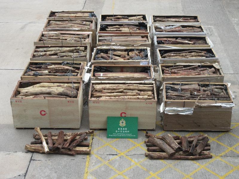 香港海关于农历新年前夕及期间加强执法，致力打击节日期间的跨境走私活动。图示检获的怀疑黄檀木材。