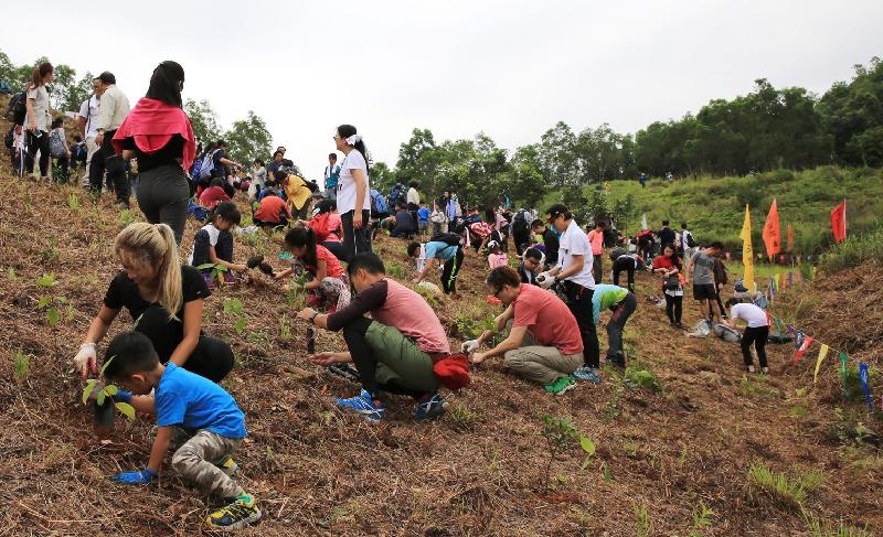 The Country Parks Hiking and Planting Day 2018 will be jointly held by the Agriculture, Fisheries and Conservation Department and Friends of the Country Parks on March 18, April 8 and April 22, aiming to enhance public awareness of nature conservation and tree preservation.