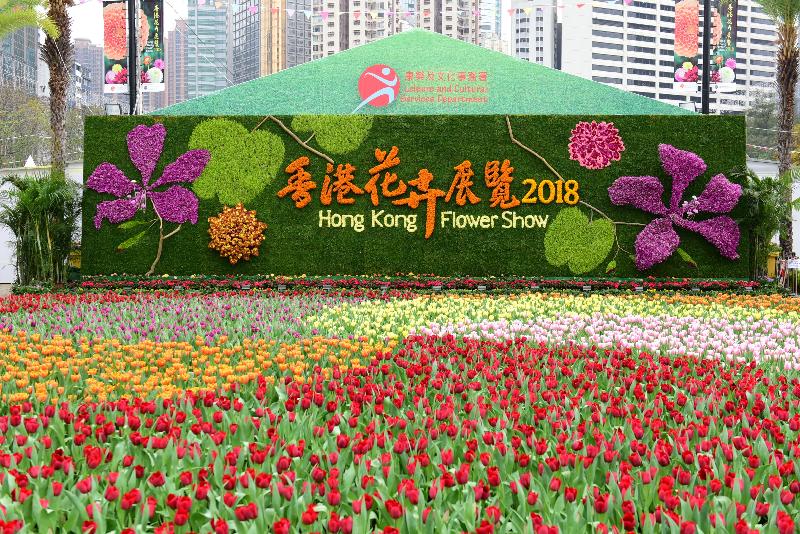二零一八年香港花卉展覽明日（三月十六日）至三月二十五日，在維多利亞公園舉行。今年花展的主題花是「大麗花」，以「心花放」為主題。圖示立體花牆與前端美麗的鬱金香花海。