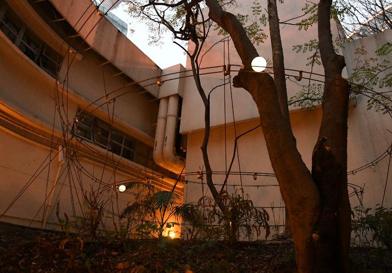 藝術推廣辦事處轄下香港視覺藝術中心明日（三月十八日）展開全新活動「秘密花園」。圖示「秘密花園」戶外藝術裝置。