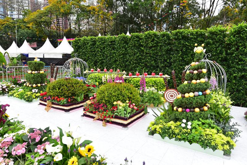 香港花卉展覽主要活動之一的花卉及植物展品比賽今日（三月十七日）公布得獎名單。圖為康樂及文化事務署西方園圃比賽的冠軍園圃。