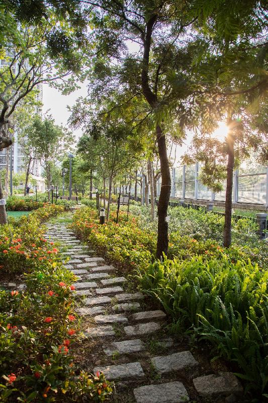 Granite blocks, which originally were finishing materials of old roadside planter walls, are reused in the Nature Walk inside Hung Fuk Estate. This initiative not only preserves natural resources but also blends in with the surrounding area.