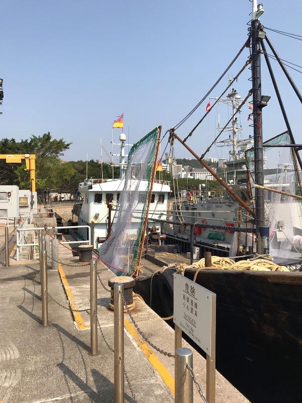 漁農自然護理署與水警昨晚（三月二十一日）在香港北面水域進行打擊非法捕魚的聯合行動，截獲一艘涉嫌非法拖網捕魚的漁船。圖示該艘懷疑非法拖網捕魚的漁船。