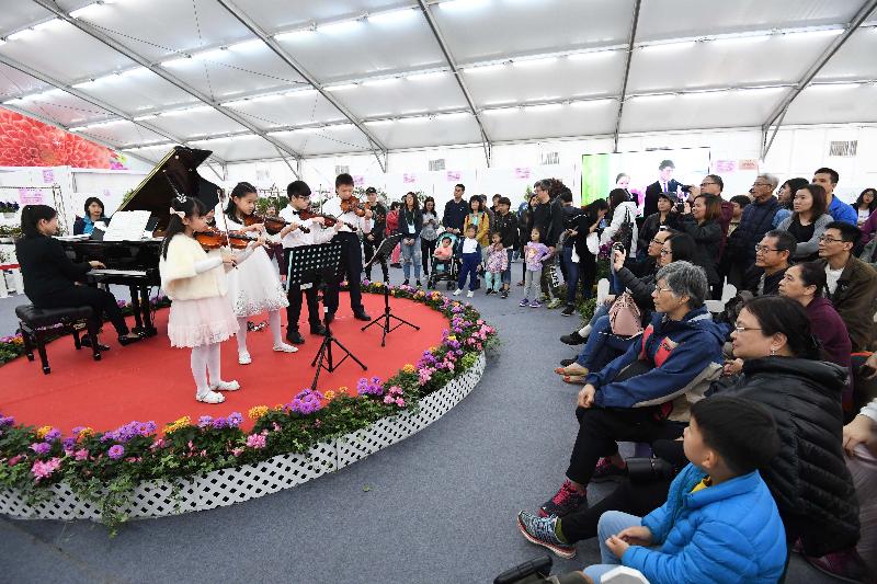 香港花卉展覽星期日（三月二十五日）結束。「花見廊」內擺設植物展品比賽的參賽作品，市民在賞花之餘，亦可欣賞音樂表演。

