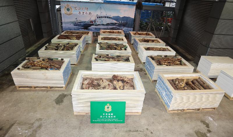香港海关昨日（六月五日）在葵涌海关大楼验货场一个货柜内检获约五千七百公斤怀疑紫檀木材，估计市值约六百九十万元。