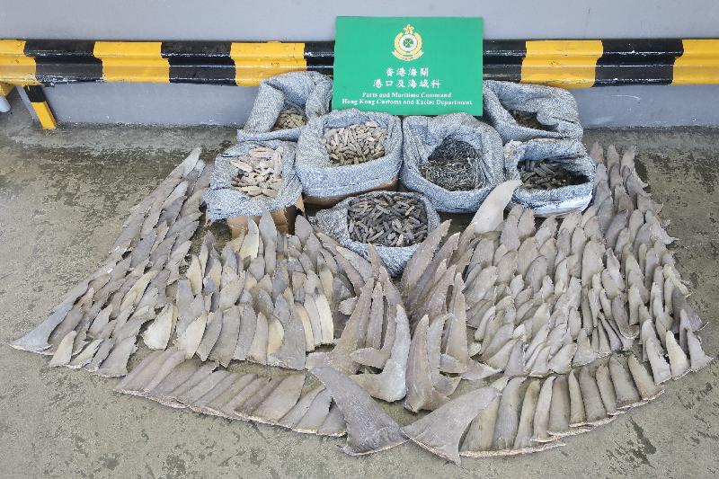 Hong Kong Customs yesterday (July 5) seized about 100 kilograms of suspected scheduled dried shark fins of endangered species and about 220 kilograms of unmanifested dried sea cucumbers from a container at the Kwai Chung Customhouse Cargo Examination Compound. The estimated market value of the seizure was about $350,000. 