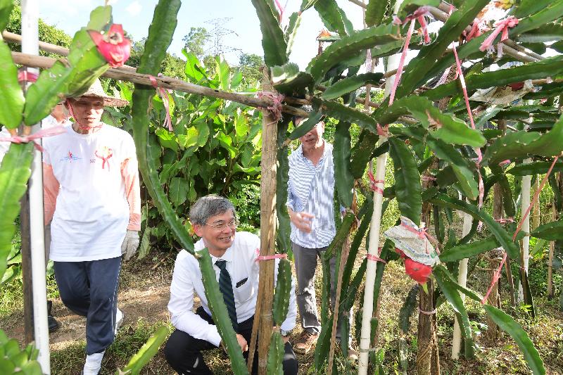 勞工及福利局局長羅致光博士今日（七月二十七日）到訪北區，探訪香港基督教女青年會「Y Farm健康長者農場」。圖示羅致光博士（中）參觀退休長者義工種植的農作物。