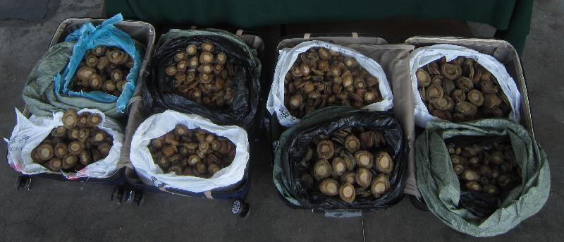 Hong Kong Customs yesterday (August 13) seized about 316 kilograms of suspected smuggled dried abalone with an estimated market value of about $1.9 million at Man Kam To Control Point.