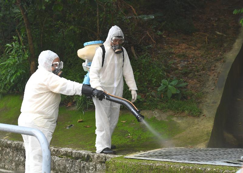 Staff of the Food and Environmental Hygiene Department today (August 16) carried out mosquito prevention and control work in the vicinity of Kwai Hau Street, Kwai Chung, to reduce the risk of spread of mosquito-borne diseases.