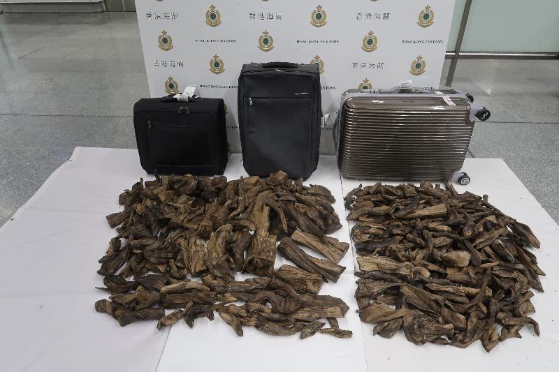 香港海關今日（八月十六日）在香港國際機場檢獲約四十一點八公斤懷疑沉香木，估計市值約六十七萬元。