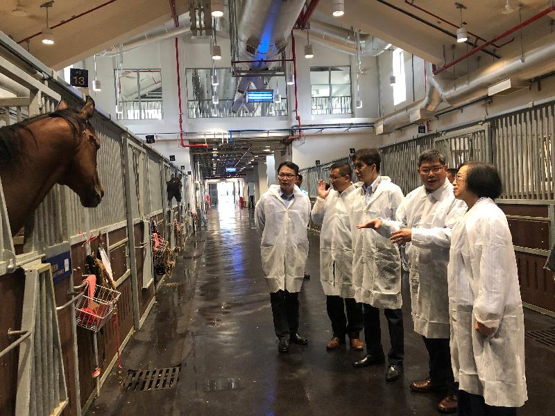 The Secretary for Food and Health, Professor Sophia Chan, today (August 28) attended the opening ceremony of the Hong Kong Jockey Club Conghua Racecourse in Conghua, Guangdong. Picture shows Professor Chan (first right) visiting a stable before the ceremony. Next to her are the Permanent Secretary for Food and Health (Food), Mr Philip Yung (third right), and the Director of Agriculture, Fisheries and Conservation, Dr Leung Siu-fai (second right).