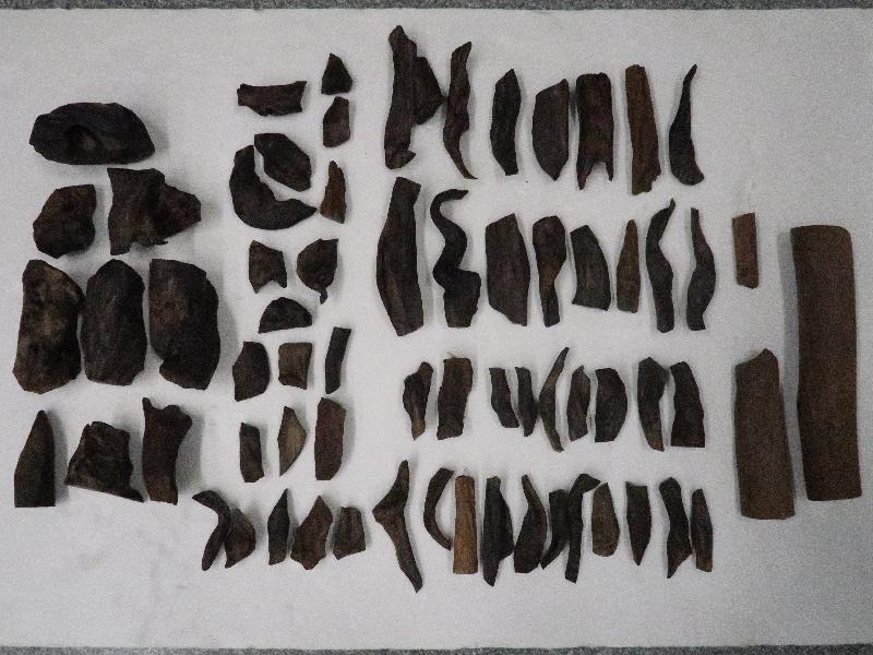 Hong Kong Customs stepped up enforcement to combat cross-boundary smuggling activities in "Operation Summer" during the summer holidays (June 1 to August 30). Photos show some of the suspected agarwood seized.