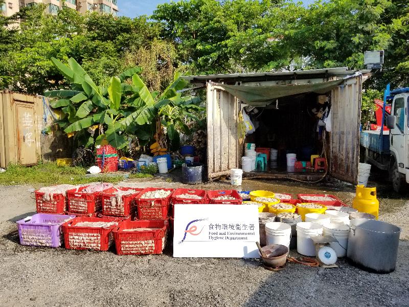 The Food and Environmental Hygiene Department raided an unlicensed food factory at Ma Tin Tsuen, Yuen Long, early this morning (September 14). Photo shows a batch of pig intestines intended for human consumption and some tools seized in the operation.