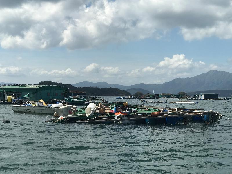 本地農戶及漁民因超強颱風山竹影響而導致嚴重損失，明日（九月十九日）至九月二十八日可向漁農自然護理署登記申請緊急救援基金。圖示一個魚排受颱風影響，損毀嚴重。