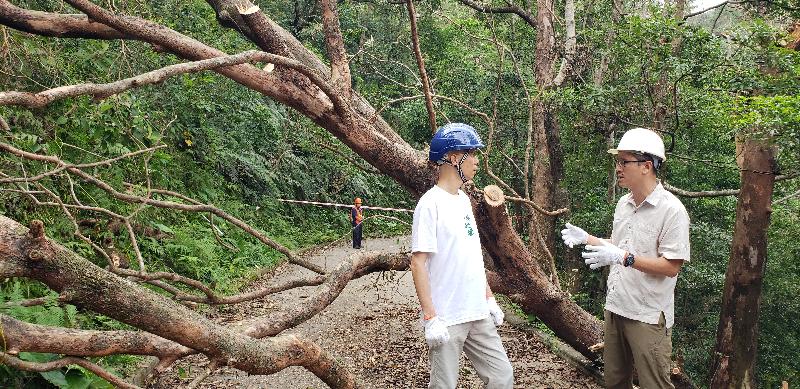 The Secretary for the Environment, Mr Wong Kam-sing (left), visited Shing Mun Country Park today (September 27). He is pictured being briefed by the Assistant Director of Agriculture, Fisheries and Conservation, Mr Patrick Lai (right), on the progress made in clearing fallen trees.
