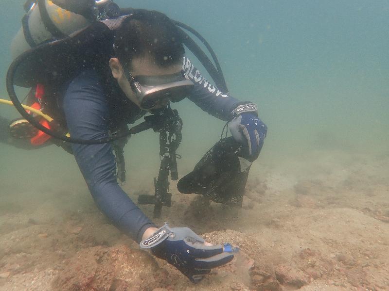 The Agriculture, Fisheries and Conservation Department collaborated again with the Hong Kong Underwater Association to hold a Coastal Clean-up Day at Sharp Island in Sai Kung today (September 29). Photo shows a volunteer diver picking up rubbish from the seabed.
