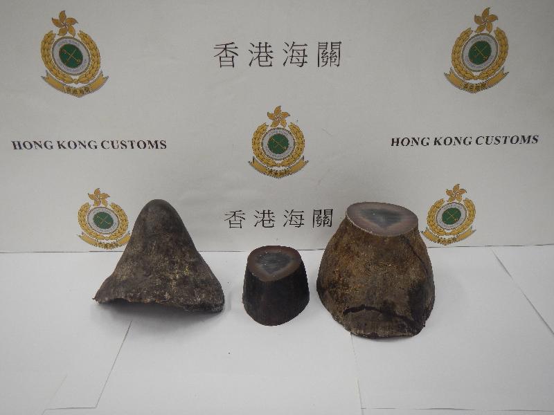 香港海关今日（十月六日）在香港国际机场检获约二点九公斤怀疑犀牛角，估计市值约五十九万元。