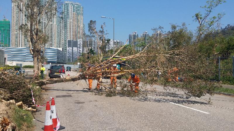 The Civil Aid Service (CAS) mobilised a total of 140 members to remote areas to assist in the relief work following the passage of Super Typhoon Mangkhut in a two-day operation which commenced yesterday (October 5). Photo shows a team of CAS clear the road blocked by fallen trees and broken branches together.