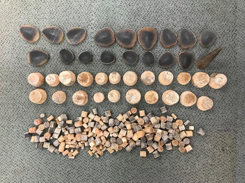 A traveller who smuggled rhino horns and was convicted for violating the Protection of Endangered Species of Animals and Plants Ordinance was sentenced to imprisonment for eight months at the District Court today (October 24). Photo shows the rhino horn cut pieces seized from the baggage of the traveller.