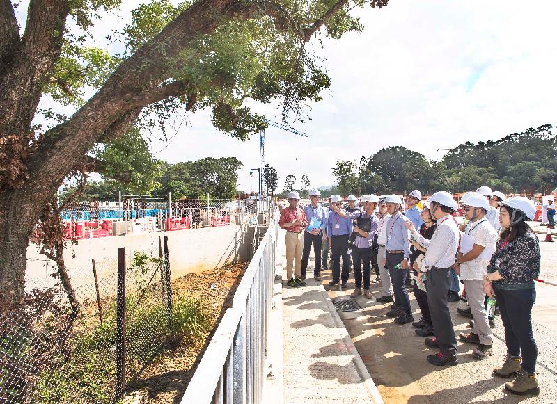 Members of the Hong Kong Housing Authority's (HA) Building Committee and Tender Committee visited the public housing construction site at Queen's Hill, Fanling today (October 25). Photo shows members of the HA Committees being briefed on a big, well preserved camphor tree located next to future public rental housing blocks and the public transport terminus.