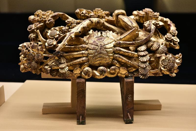 An opening ceremony for the exhibition "Gilded Glory: Chaozhou Woodcarving" was held today (November 7) at the Hong Kong Museum of History. Photo shows a gilt wooden beam cushion featuring crab and plum blossoms in openwork, which is on display at the exhibition.