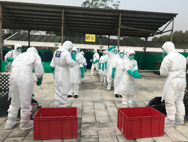 The Agriculture, Fisheries and Conservation Department (AFCD) today (November 12) carried out an exercise to review the preparedness of the AFCD and other departments in case a poultry culling operation is required in response to an outbreak of highly pathogenic avian influenza in Hong Kong. Photo shows staff members undergoing thorough disinfection upon completion of a mock poultry culling operation.