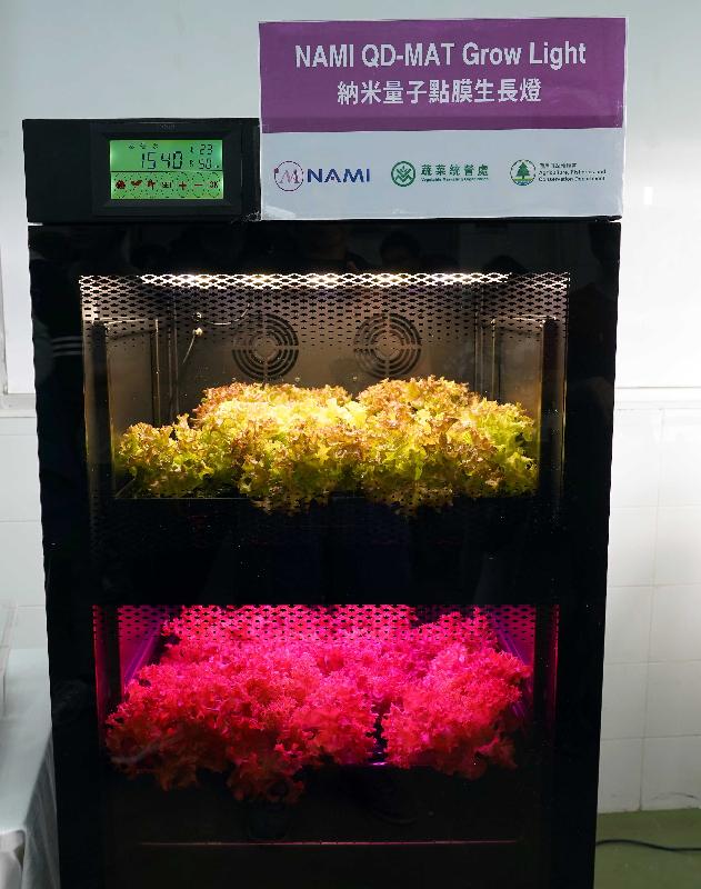 The Agriculture, Fisheries and Conservation Department and the Controlled Environment Hydroponic Research and Development Centre (Hydroponic Centre) held a briefing today (November 22) on two new technologies for enhancing the growth rate of vegetables, as well as new vegetable varieties successfully grown recently at the Hydroponic Centre using controlled environment hydroponic technology. Photo shows the Changeable Spectrum Grow Light Technology, which can help enhance the growth of vegetables.