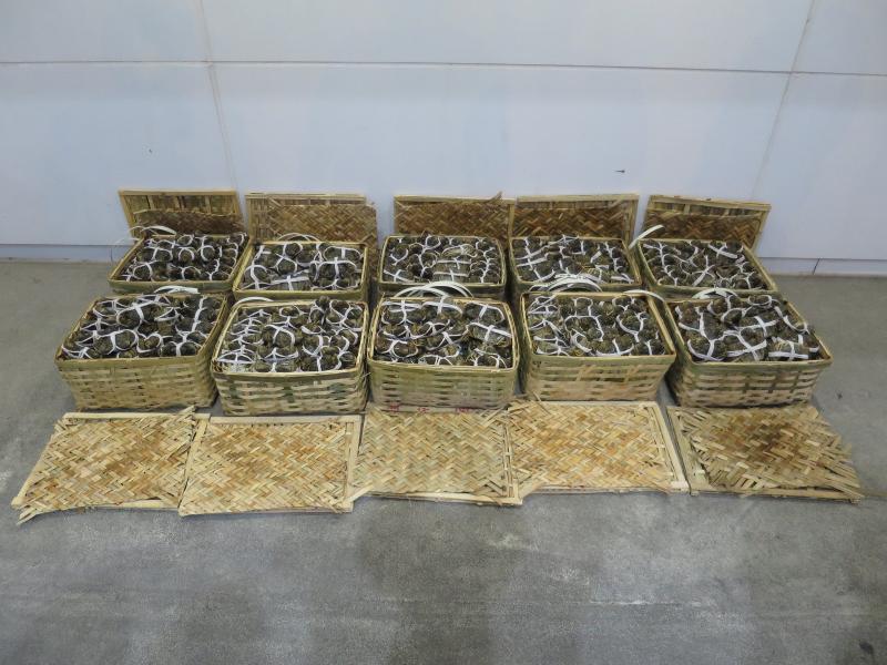 The Customs and Excise Department yesterday (December 1) during a joint operation with the Food and Environmental Hygiene Department seized 624 suspected smuggled hairy crabs with an estimated market value of about $60,000 at Lok Ma Chau Control Point. 