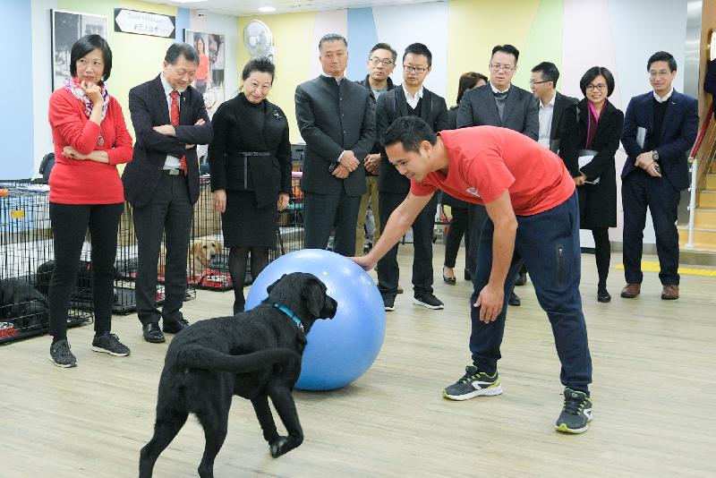 律政司司長鄭若驊資深大律師（左三）今日（十二月十三日）到訪位於翠屏的香港導盲犬協會賽馬會教育及培訓中心，並觀看訓練員示範訓練導盲犬。