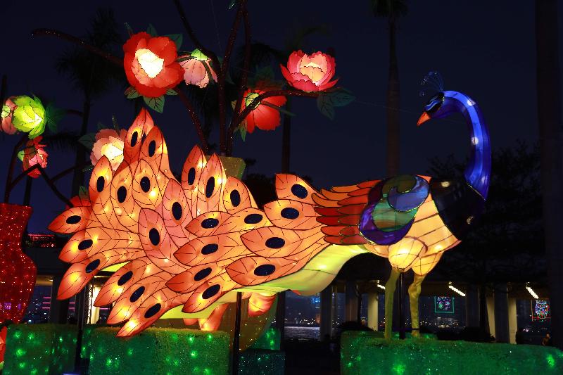 To celebrate the Lunar New Year Lantern Festival, the Leisure and Cultural Services Department will present a wide range of activities including festive lantern carnivals and lantern displays for public enjoyment. Photo shows a thematic lantern display entitled "Glittering Peacocks in Full Bloom" at the Hong Kong Cultural Centre Piazza, running until February 24.