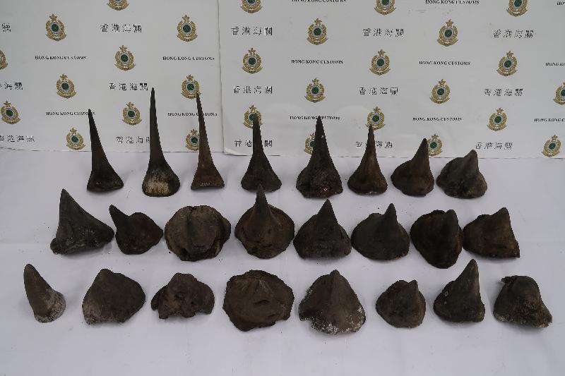 Hong Kong Customs today (February 14) seized about 40 kilograms of suspected rhino horns, a record high seizure of rhino horns detected from arriving air passengers, with an estimated market value of about $8 million at Hong Kong International Airport.
