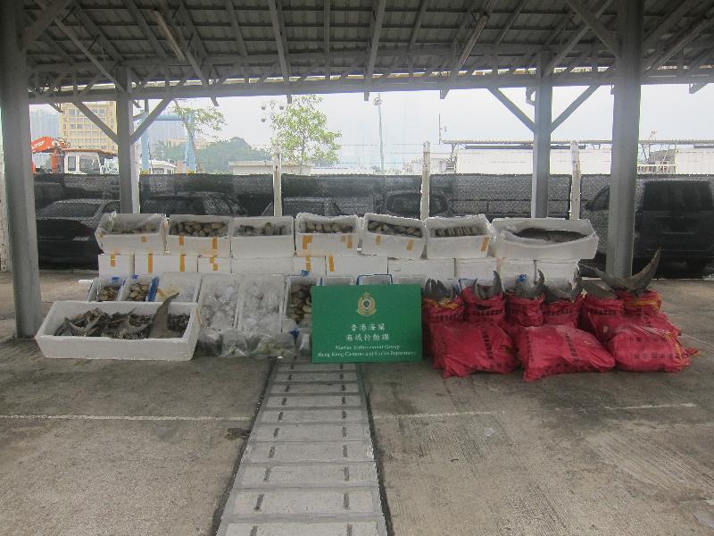 Hong Kong Customs yesterday (February 25) conducted an anti-smuggling operation and detected a suspected smuggling case using a fishing vessel in the waters off Shek Ngau Chau. Suspected smuggled goods including about 100 kilograms of suspected smuggled dried shark fins, 1,175kg of geoduck clams, 453kg of frozen grouper and 18kg of coral fishes with an estimated market value of about $680,000 were seized. 