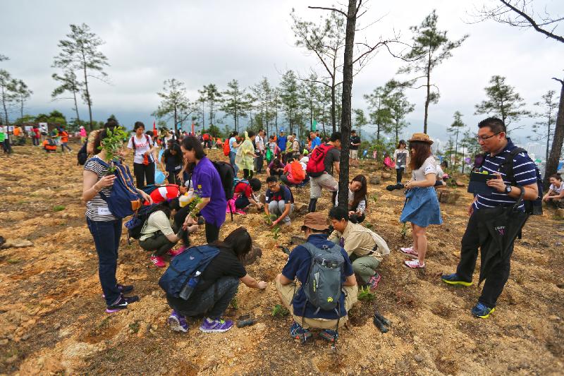 The Country Parks Hiking and Planting Day 2019 will be jointly held by the Agriculture, Fisheries and Conservation Department and Friends of the Country Parks on March 17, March 31 and April 14 with the aim of enhancing public awareness of nature conservation and tree preservation.