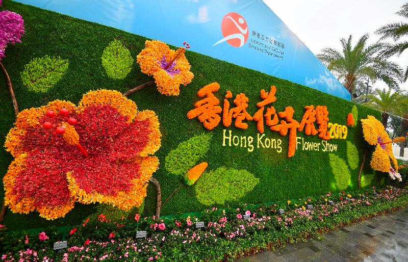 二零一九年香港花卉展覽明日（三月十五日）至三月二十四日，在維多利亞公園舉行。今年花展的主題花是「大紅花」，主題為「大紅花說願」。圖示香港花卉展覽的立體花牆。 