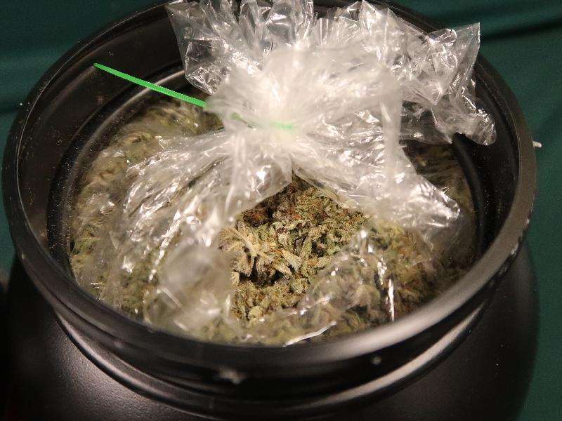 香港海關三月九日在香港國際機場檢獲約一點八公斤懷疑大麻花，估計市值約五十萬元。圖示部分檢獲的懷疑大麻花收藏在一個膠樽內。