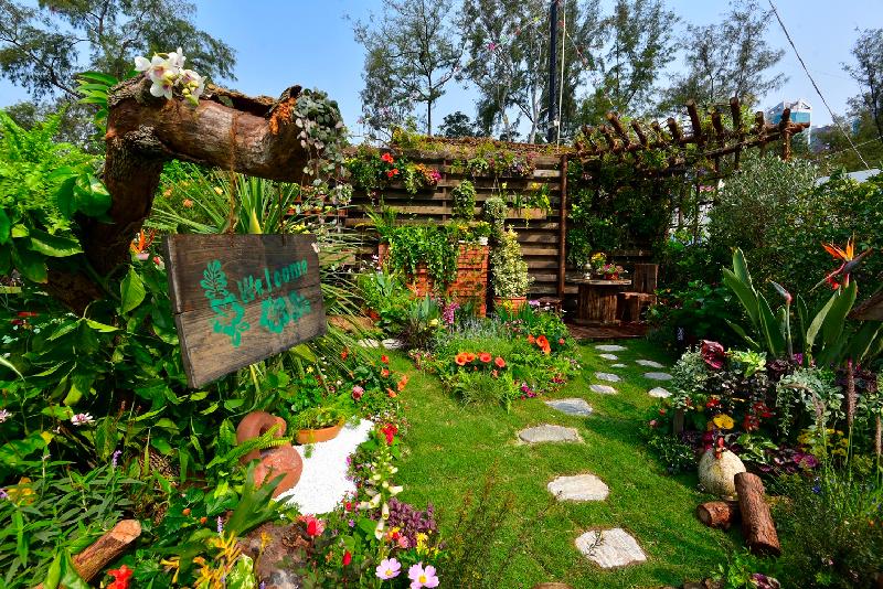 The winners of the plant exhibit competition, which is one of the major activities of the Hong Kong Flower Show, were announced today (March 16). Photo shows the winning garden plot of the Leisure and Cultural Services Department Western Style Garden Plot Competition.