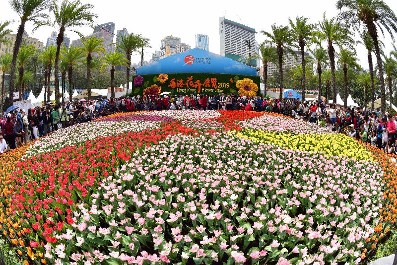 香港花卉展覽星期日（三月二十四日）結束。多個繽紛悅目的園林造景成為遊人的拍照熱點，包括以色彩絢麗的鬱金香鋪設而成的花海。
