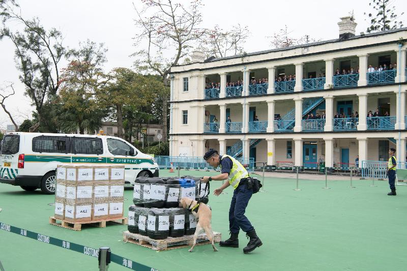 由保安局成立的跨部门反恐专责组今日（三月二十五日）下午于鲤鱼门公园举行其统筹的第一次大型跨部门反恐演习，代号「擎天」。图示香港海关利用爆炸品搜查犬搜查货物。