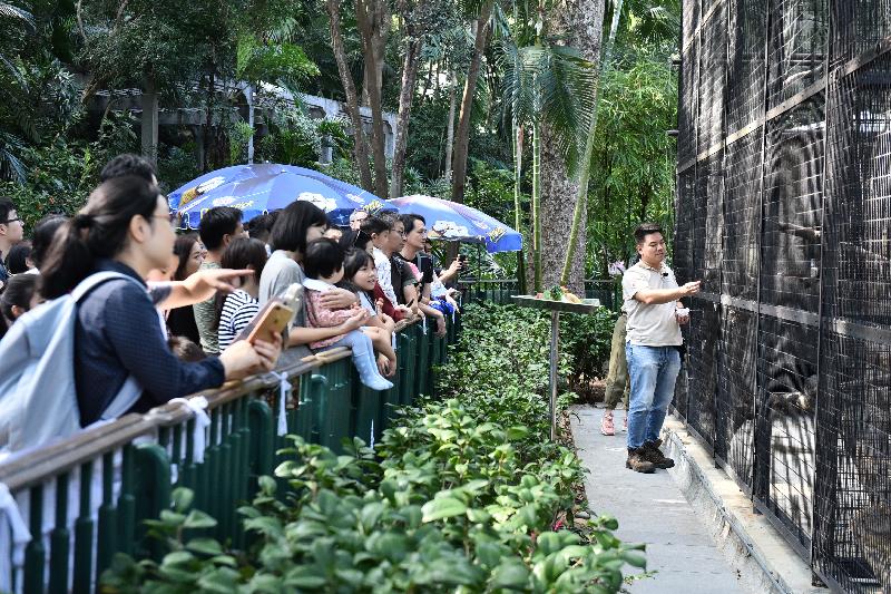 香港動植物公園四月十三日及十四日一連兩日舉辦「動物護理聚談」活動，讓市民近距離觀賞不同的靈長類動物和雀鳥。圖示園內資深動物飼養員向遊人分享日常照顧動物的心得。