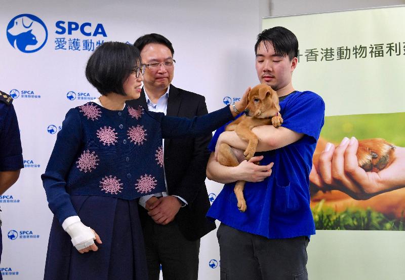 The Secretary for Food and Health, Professor Sophia Chan, today (April 26) visited the Society for the Prevention of Cruelty to Animals (SPCA) headquarters to learn about SPCA's work in enhancing animal welfare. Photo shows a staff member of SPCA introducing a dog that is up for adoption to Professor Chan (left).